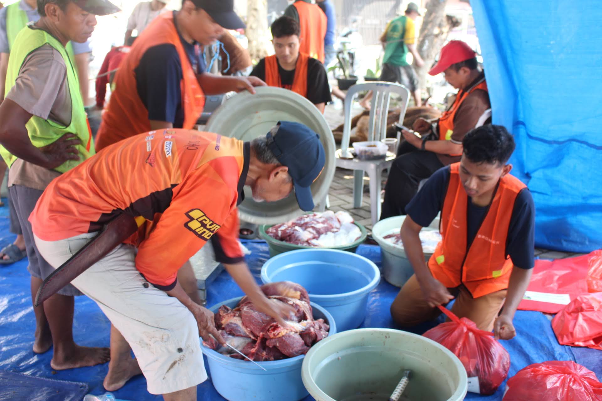 Prm geluran qurban